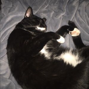 Meet your Posher, Carrie